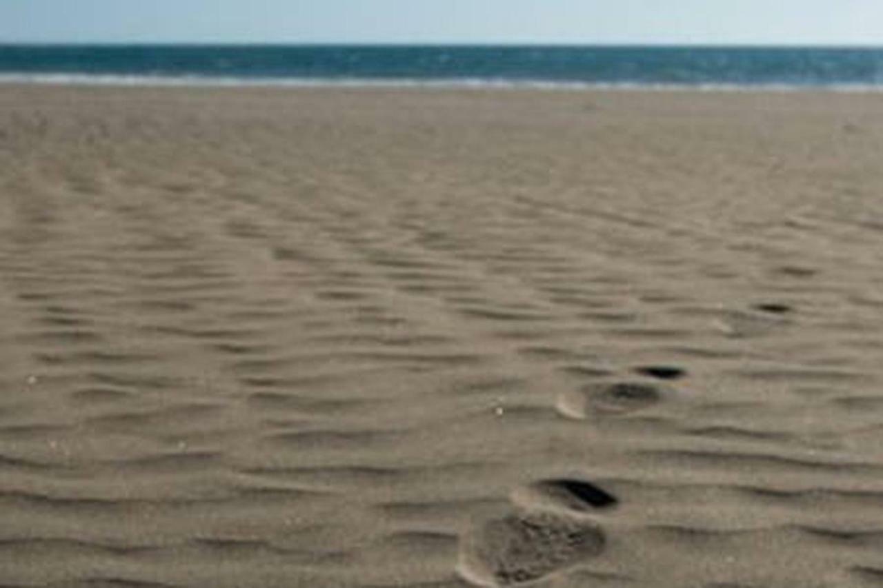 Primera Linea De Playa De Las Burras San Agustin  Ngoại thất bức ảnh
